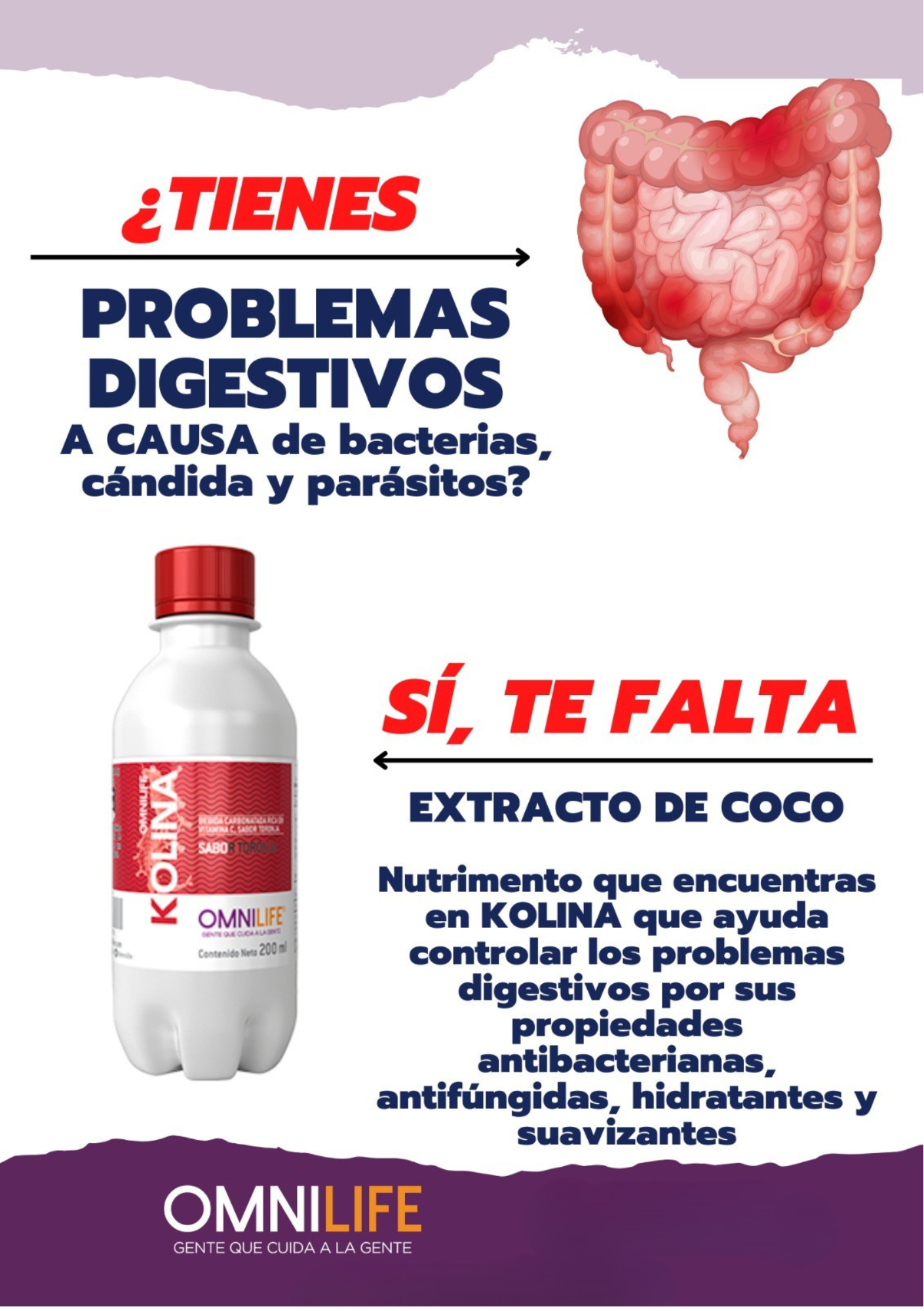 KOLINA – Bebida Herbal Carbonatada con Vitamina C y Sabor Toronja (200ml)